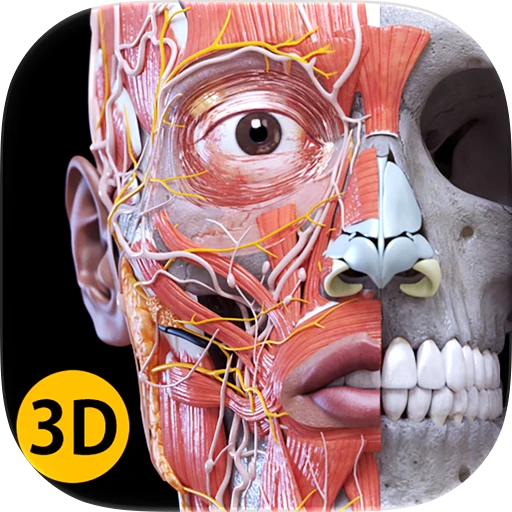 Anatomy 3D Atlas app icon