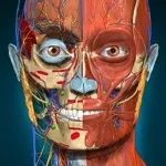 Anatomy Learning app icon
