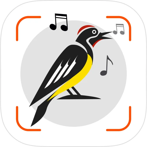 Bird Sounds Identifier Call ID app icon