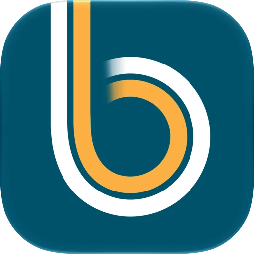 Brainbuddy app icon