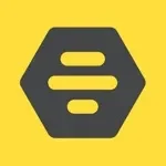 Bumble For Friends app icon