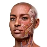 Complete Anatomy app icon