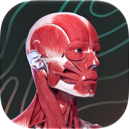 Easy Anatomy 3D app icon