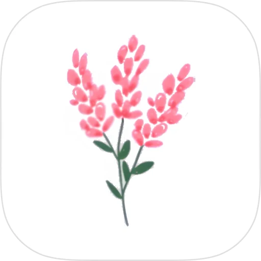 Budget Planner App app icon