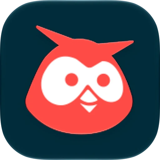 Hootsuite app icon