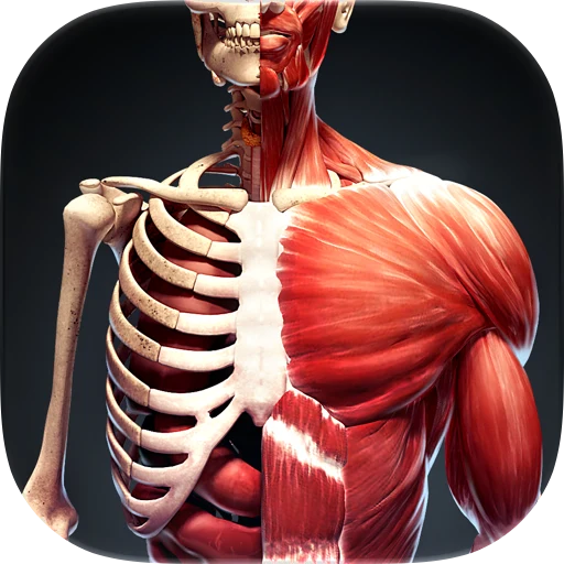 Human Body Atlas app icon