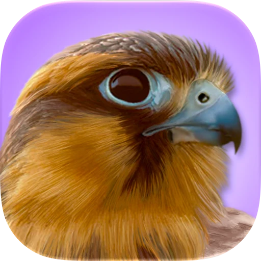 iBird Pro Guide to Birds app icon