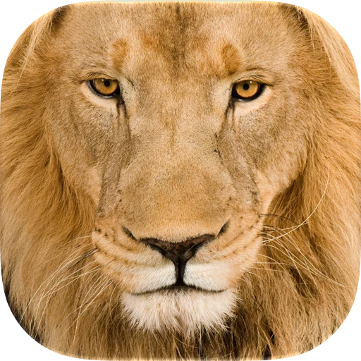 Identify Animal Sounds app icon