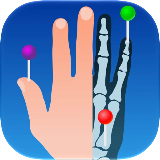 IMAIOS e-Anatomy app icon