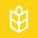 Kneady app icon