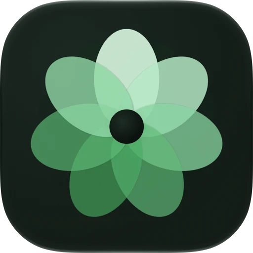 LifeWheel Balance app icon
