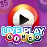 Live Play Bingo app icon