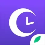 Mintal Tracker app icon