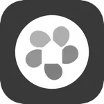 Motorola app icon