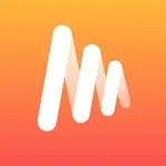 Musi app icon