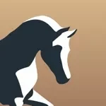 MyStud app icon