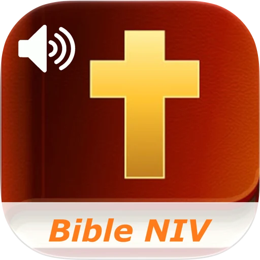 New International Bible Audio app icon