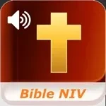 New International Bible Audio app icon
