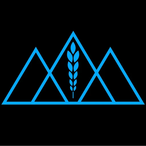 Newsom Analysis app icon