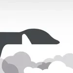 Noisy Goose app icon