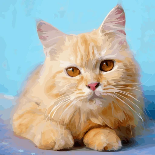 Oil Painting Color app icon