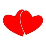 Pair app icon
