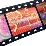 Physiology Animations app icon