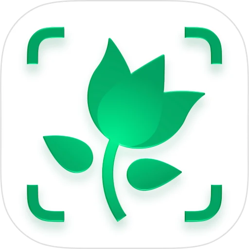 PictureThis app icon