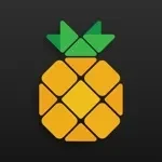 Pineapple app icon
