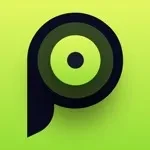 Placeter app icon
