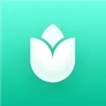 PlantIn app icon