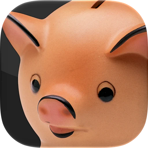 PocketMoney app icon