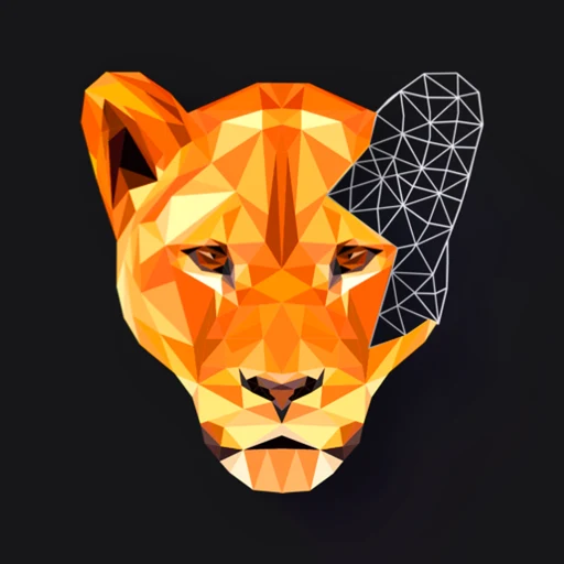 Polygon app icon