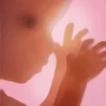 Pregnancy + app icon