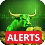 Realtime Stock Screener app icon