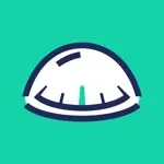 savvy navvy app icon
