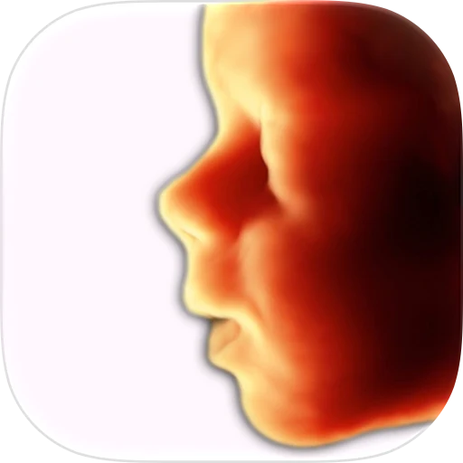 ScanBaby learn baby ultrasound app icon