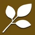 Seed app icon