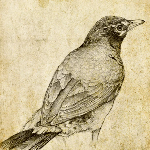 Sketch Master app icon