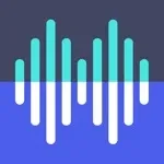 Slow Down Music app icon
