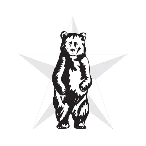 The Texarkana Gazette app icon