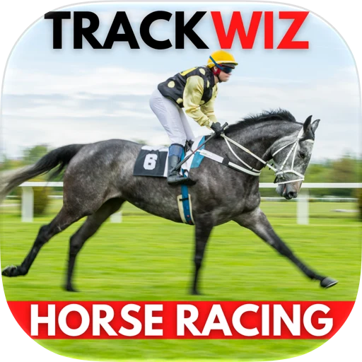 TrackWiz app icon
