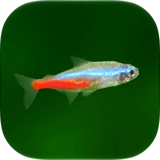 Tropical Fish Tank app icon