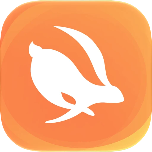 Turbo VPN Private Browser app icon
