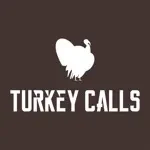 Turkey Calls app icon