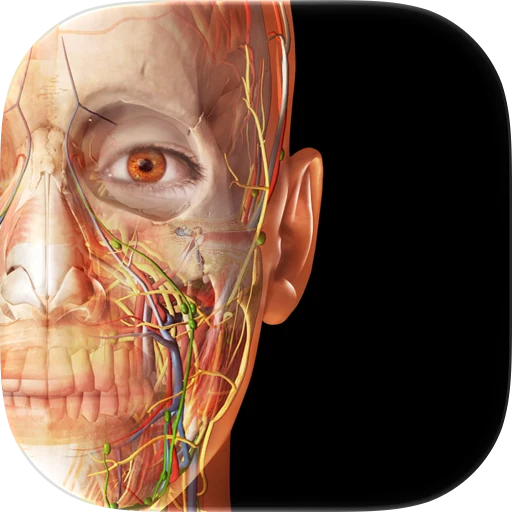 Visible Body Suite app icon