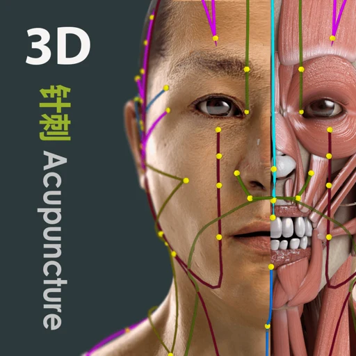 Visual Acupuncture 3D app icon