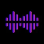 Vocal Remover app icon