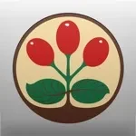 VST CoffeeTools app icon