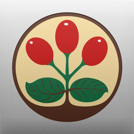 VST CoffeeTools app icon
